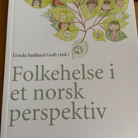 Vernepleier-pensum: «Folkehelse i et norsk perspektiv». NY PRIS!