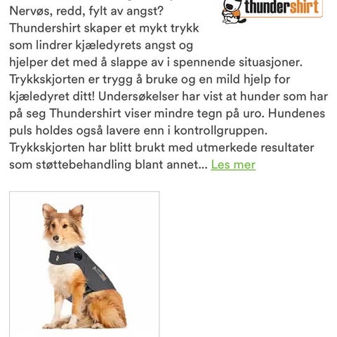 Annonsebilde
