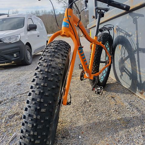 Fat bike