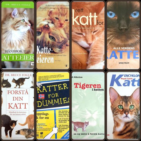 Bøker om katter & kattehold