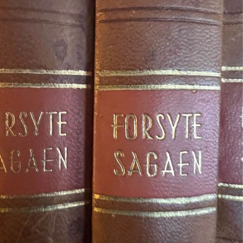 John Galsworthy - Forsyte sagaen