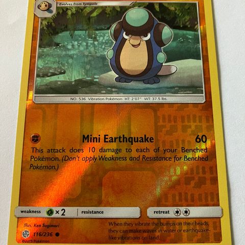 Palpitoad 116/236 Reverse holo Pokemon kort