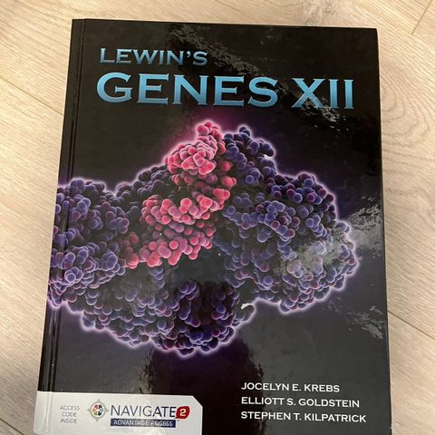 Lewin’s genes XII