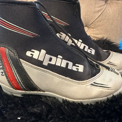 Alpina skisko str. 35