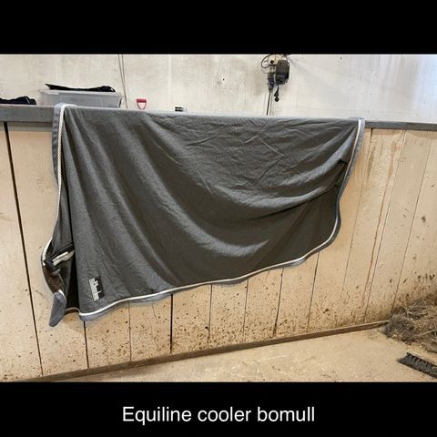 Equiline cooler