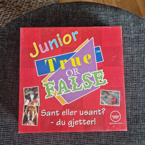Junior True or false brettspill