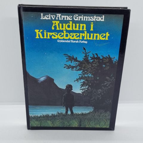 Audun i Kirsebærlunet - Leiv Arne Grimstad