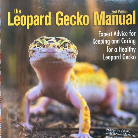 Leopardgekko bok