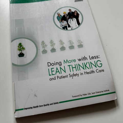 Doing More with Less: LEAN THINKING and Patient Safety in Health Care