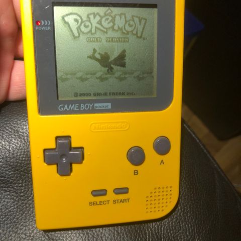 Gameboy Pocket Nintendo