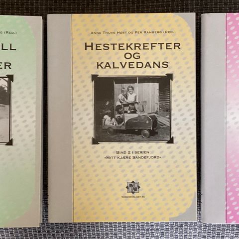 3 meget flotte bøker i serien «MITT KJÆRE SANDEFJORD»bind 1, 2 og 3 «SOM NYE»