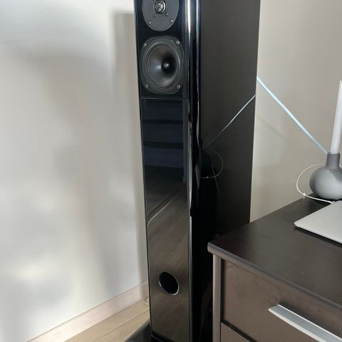 Audio physic avanti 1