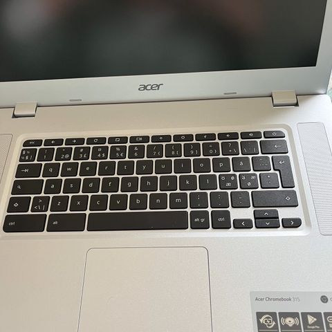 Acer Cromebook 315