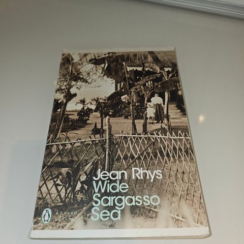 Wide Sargasso Sea. Jean Rhys