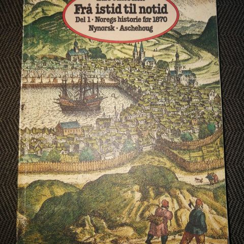 Frå istid til notid. Noregs historie før 1870. Lars Jakob Holt