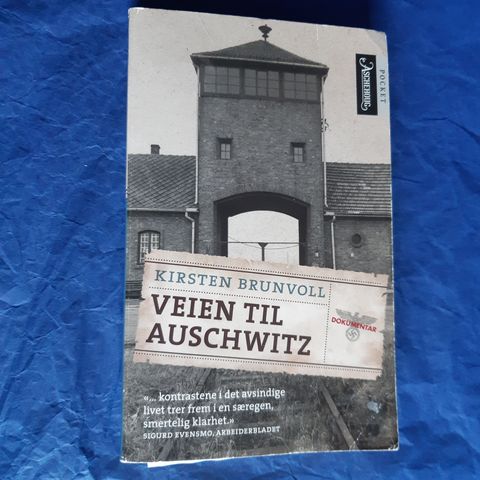 Veien til Auschwitz