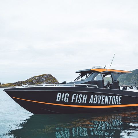Gavekort hos Big Fish Adventure i Hasvik. 40% avslag!