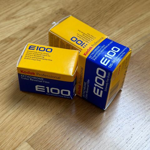Kodak Ektachrome E100 36 Bilder