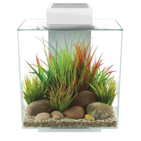 Fluval Edge II 46L