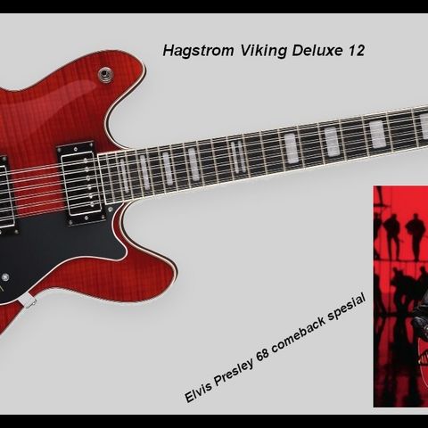 Hagstrøm Viking DELUXE 12-streng