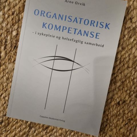 Organisatorisk kompetanse: I sykepleie og helsefaglig samarbeid