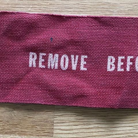 REMOVE BEFORE FLIGHT