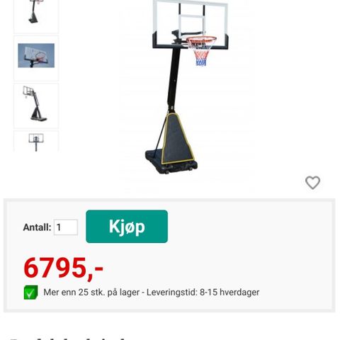 Basketstativ - flyttbar