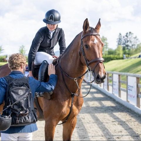 Ledig plass for hest i trening/salg