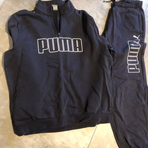 Puma