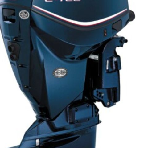 Evinrude 130 e-tec