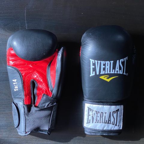 Everlast boksehansker