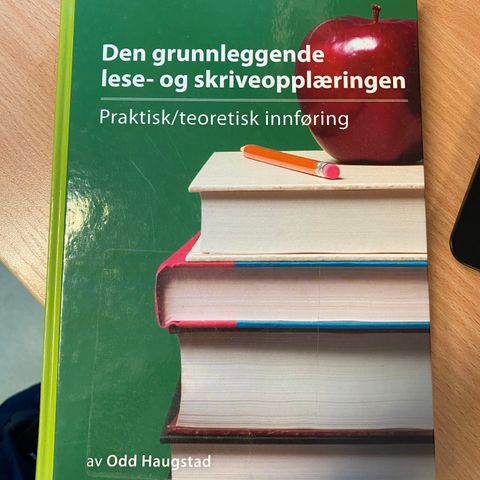 Den grunnleggende lese- og skriveopplæringen Odd Haugstad