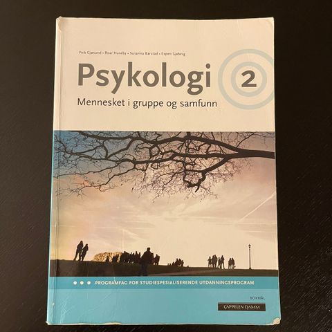 Psykologi 2