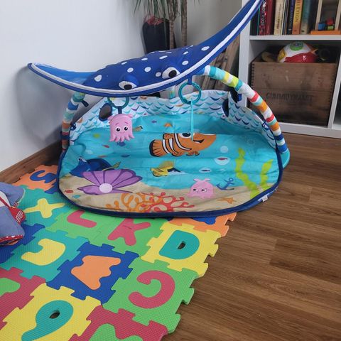 Baby gym