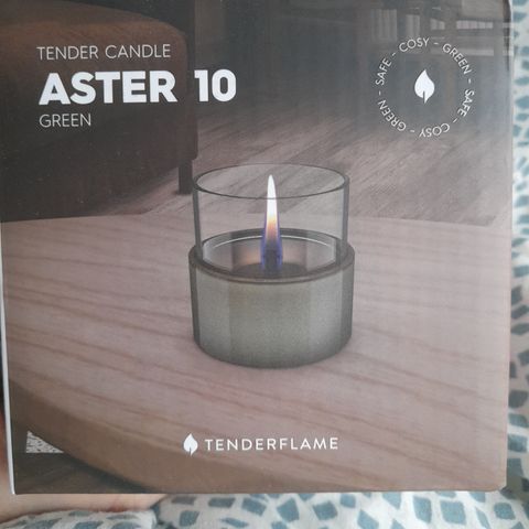 Tender candle Aster 10 grønn farge