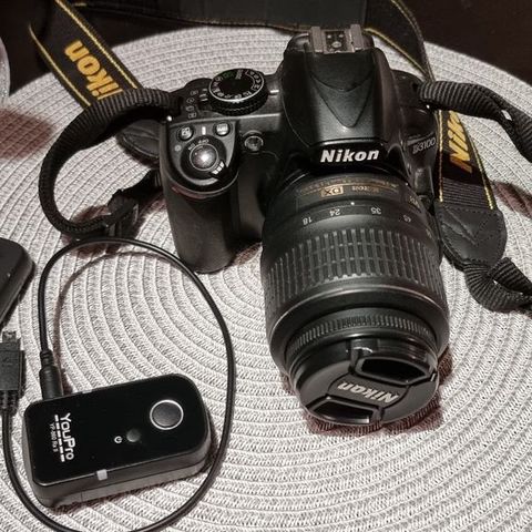 Nikon D3100