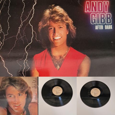 ANNDY GIBB "AFTER DARK " 1980