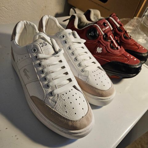 Lacoste Sneakers sko str 38