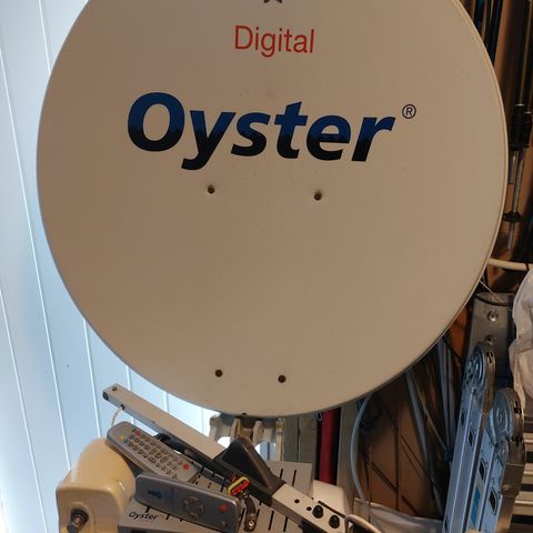 Oyster Digital Parabol