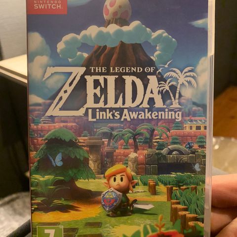 Zelda Link’s Awakening