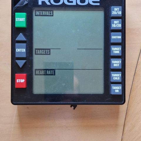 Rogue Echo bike console