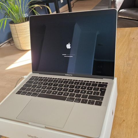 Macbook Pro 13 tommer, 256gb