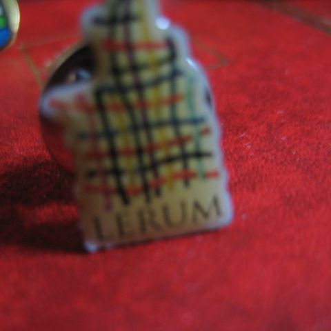 Lerum Pin