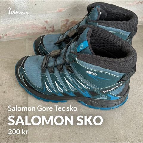 Salomon Gore- tec sko