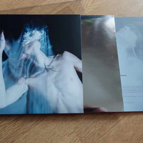 Pierce with Arrow – Shatter LP Dais Records goth gothic ambient