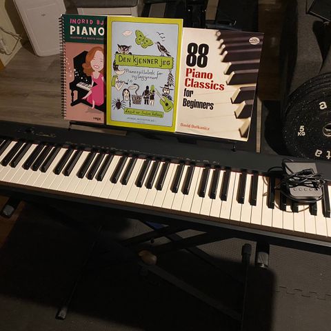 Casio el-piano