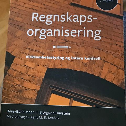 Regnskapsorganisering