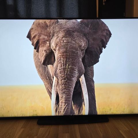 Samsung 65” Smart TV 4K Ultra HD (3840x2160)
