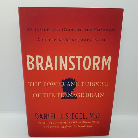 Brainstorm  - Daniel J. Siegel