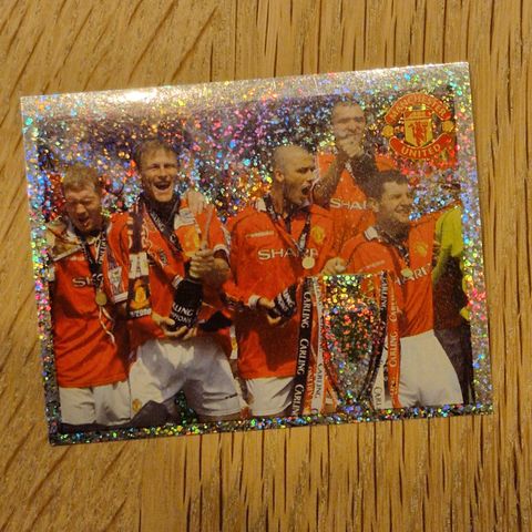 Manchester United 2006 Panini